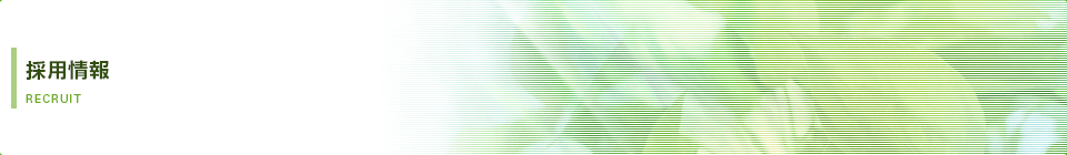 採用情報